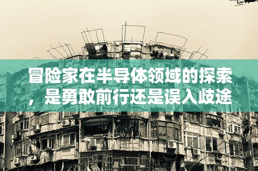 冒险家在半导体领域的探索，是勇敢前行还是误入歧途？