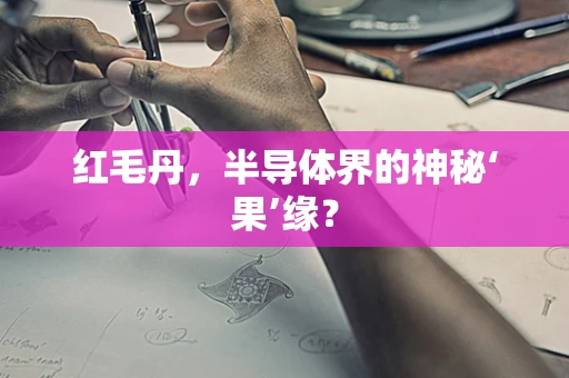 红毛丹，半导体界的神秘‘果’缘？