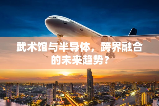 武术馆与半导体，跨界融合的未来趋势？