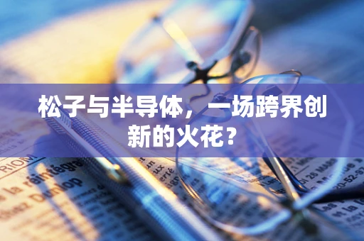 松子与半导体，一场跨界创新的火花？