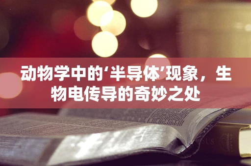 动物学中的‘半导体’现象，生物电传导的奇妙之处