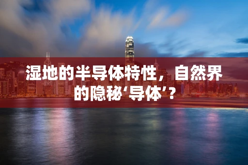 湿地的半导体特性，自然界的隐秘‘导体’？