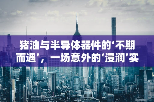 猪油与半导体器件的‘不期而遇’，一场意外的‘浸润’实验？