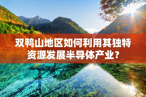 双鸭山地区如何利用其独特资源发展半导体产业？