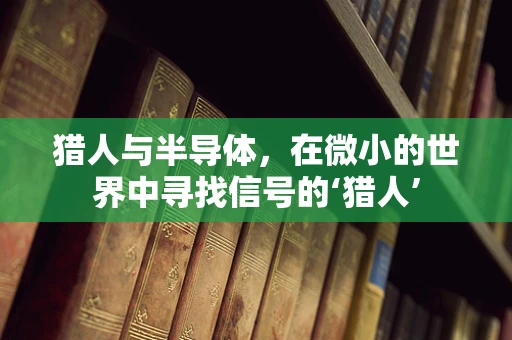 猎人与半导体，在微小的世界中寻找信号的‘猎人’