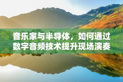 音乐家与半导体，如何通过数字音频技术提升现场演奏的互动体验？
