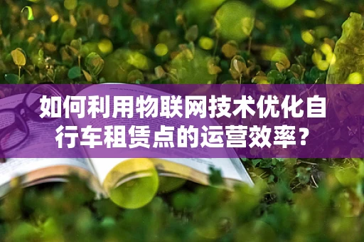 如何利用物联网技术优化自行车租赁点的运营效率？