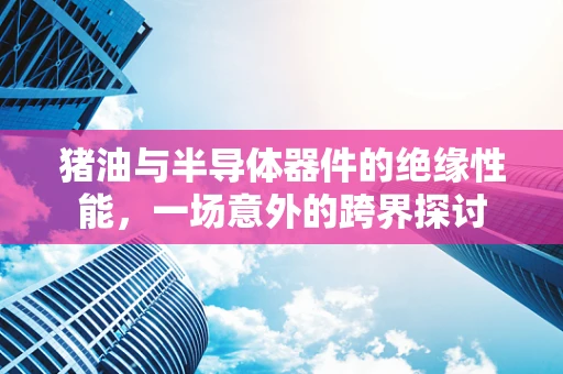 猪油与半导体器件的绝缘性能，一场意外的跨界探讨
