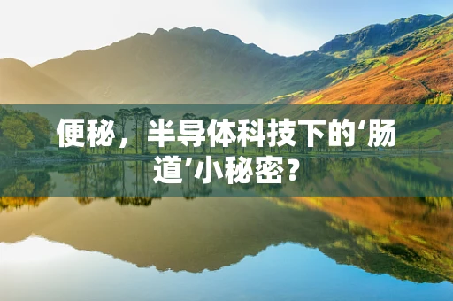 便秘，半导体科技下的‘肠道’小秘密？