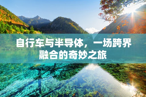 自行车与半导体，一场跨界融合的奇妙之旅