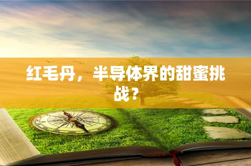 红毛丹，半导体界的甜蜜挑战？
