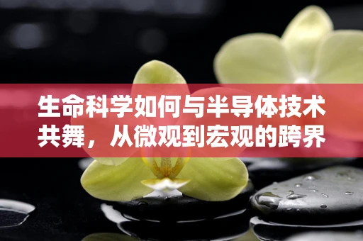 生命科学如何与半导体技术共舞，从微观到宏观的跨界探索