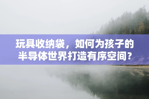 玩具收纳袋，如何为孩子的半导体世界打造有序空间？