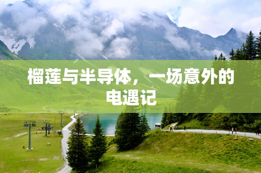 榴莲与半导体，一场意外的电遇记
