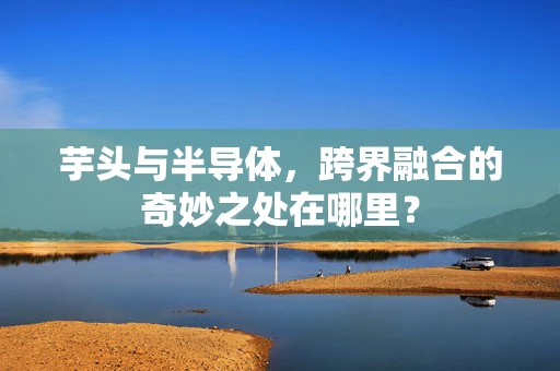 芋头与半导体，跨界融合的奇妙之处在哪里？