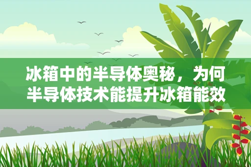 冰箱中的半导体奥秘，为何半导体技术能提升冰箱能效？
