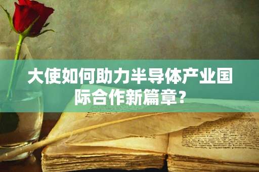 大使如何助力半导体产业国际合作新篇章？