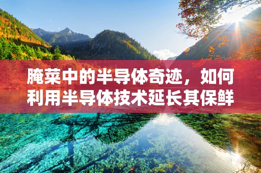 腌菜中的半导体奇迹，如何利用半导体技术延长其保鲜期？