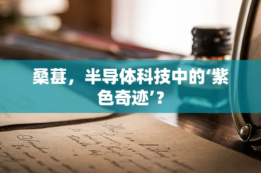 桑葚，半导体科技中的‘紫色奇迹’？