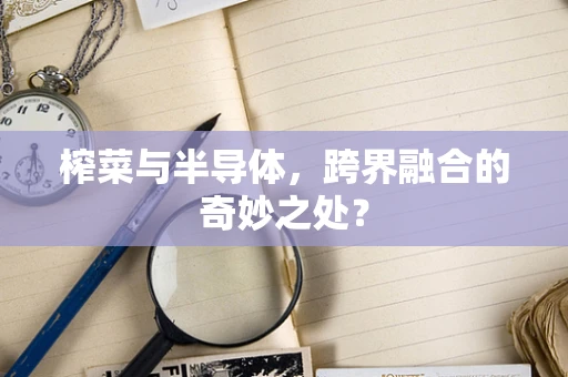 榨菜与半导体，跨界融合的奇妙之处？