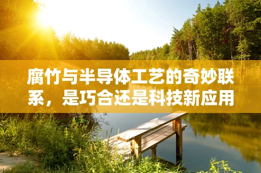腐竹与半导体工艺的奇妙联系，是巧合还是科技新应用？