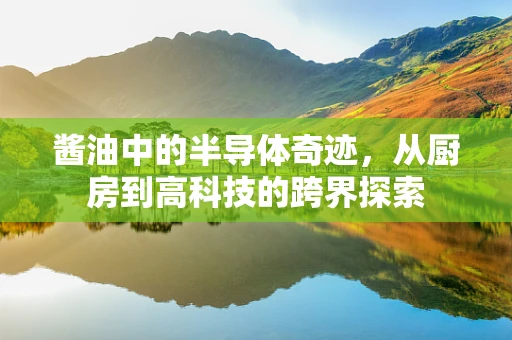 酱油中的半导体奇迹，从厨房到高科技的跨界探索