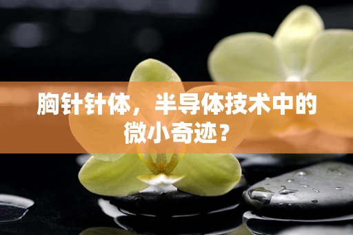 胸针针体，半导体技术中的微小奇迹？