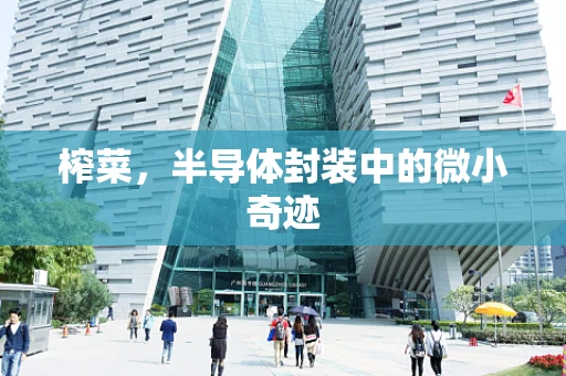榨菜，半导体封装中的微小奇迹