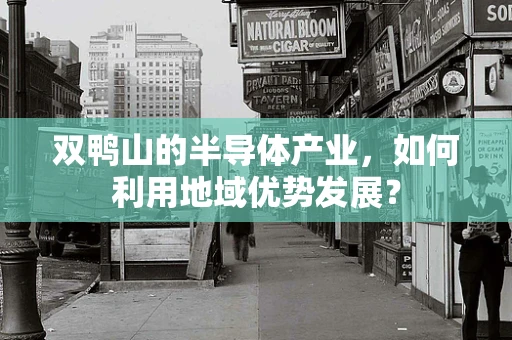 双鸭山的半导体产业，如何利用地域优势发展？