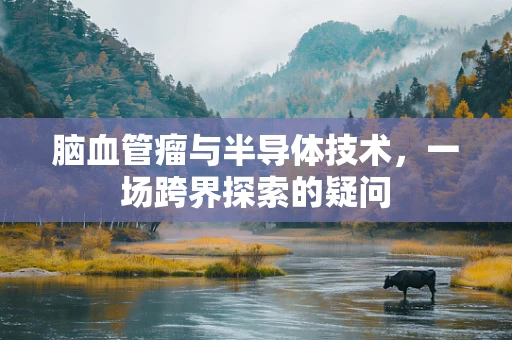 脑血管瘤与半导体技术，一场跨界探索的疑问