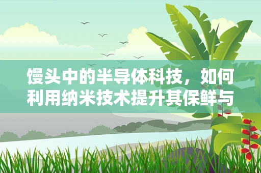 馒头中的半导体科技，如何利用纳米技术提升其保鲜与健康价值？
