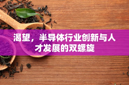 渴望，半导体行业创新与人才发展的双螺旋