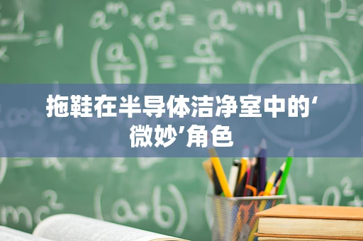 拖鞋在半导体洁净室中的‘微妙’角色