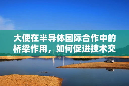 大使在半导体国际合作中的桥梁作用，如何促进技术交流与市场拓展？