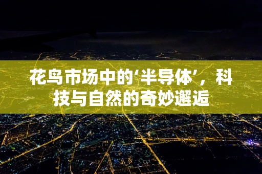 花鸟市场中的‘半导体’，科技与自然的奇妙邂逅