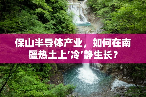保山半导体产业，如何在南疆热土上‘冷’静生长？