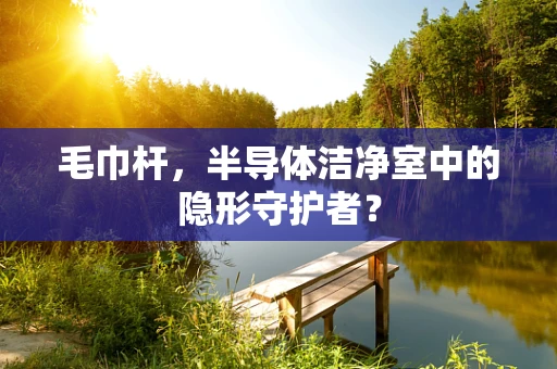 毛巾杆，半导体洁净室中的隐形守护者？
