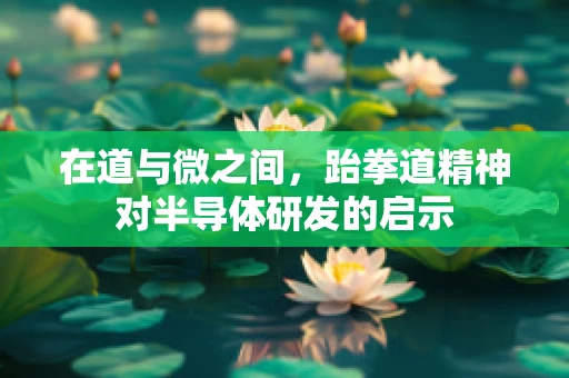 在道与微之间，跆拳道精神对半导体研发的启示