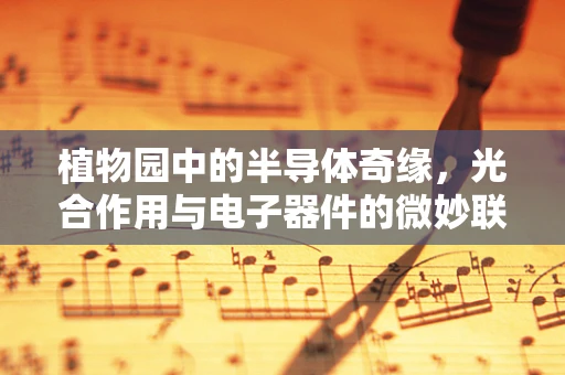 植物园中的半导体奇缘，光合作用与电子器件的微妙联系