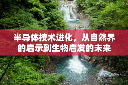 半导体技术进化，从自然界的启示到生物启发的未来