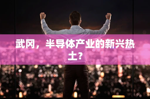 武冈，半导体产业的新兴热土？