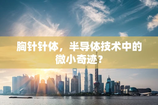 胸针针体，半导体技术中的微小奇迹？