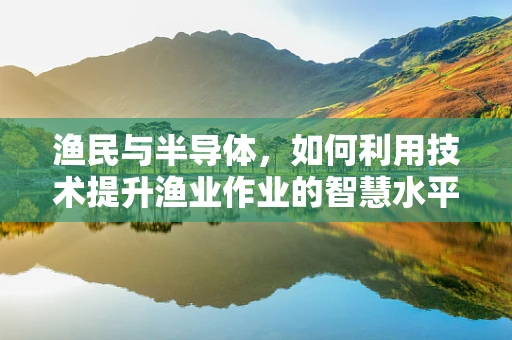 渔民与半导体，如何利用技术提升渔业作业的智慧水平？