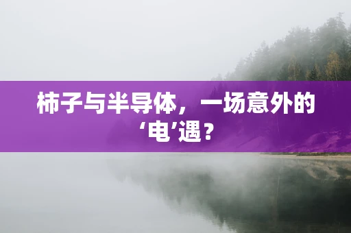 柿子与半导体，一场意外的‘电’遇？