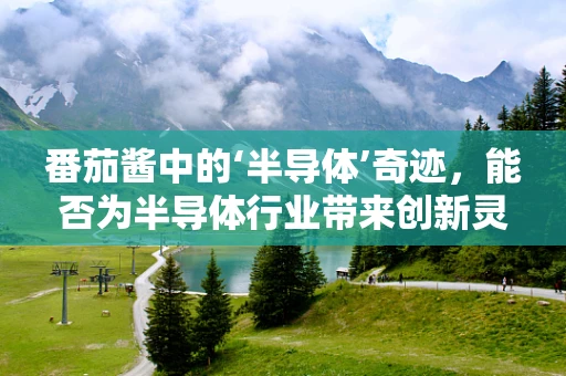 番茄酱中的‘半导体’奇迹，能否为半导体行业带来创新灵感？