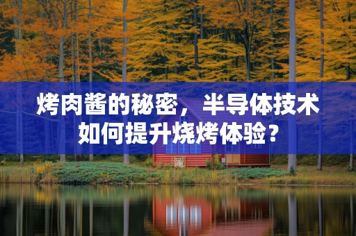 烤肉酱的秘密，半导体技术如何提升烧烤体验？