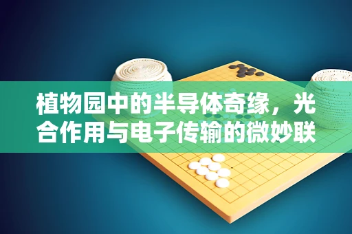 植物园中的半导体奇缘，光合作用与电子传输的微妙联系