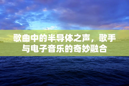 歌曲中的半导体之声，歌手与电子音乐的奇妙融合